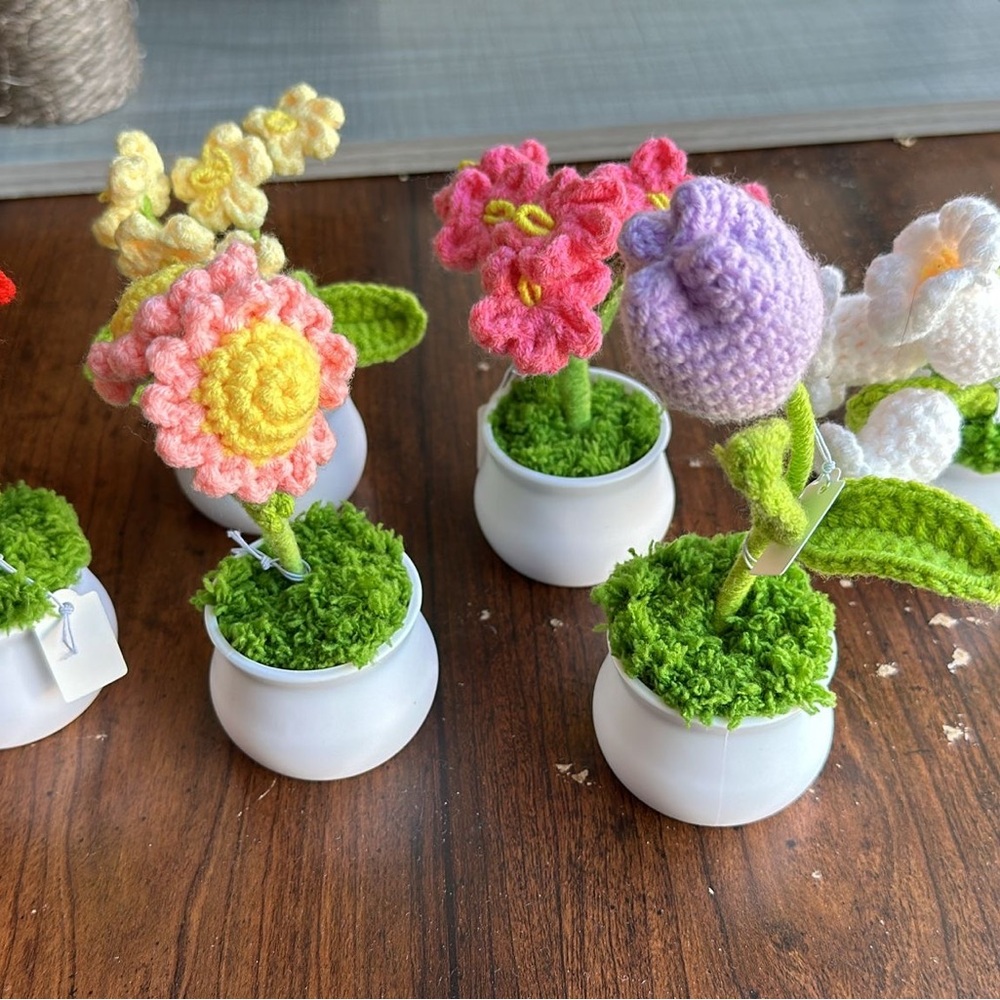 Handmade Crochet Flower Pots
